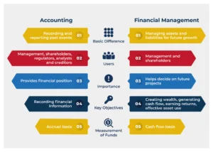 etudiant consultant options etudes comptabilite gestion