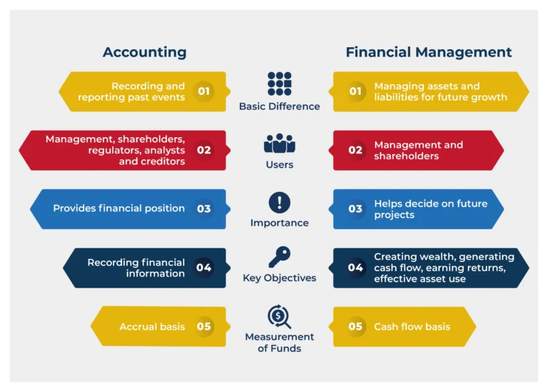 etudiant consultant options etudes comptabilite gestion