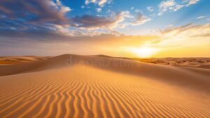 paysage sablonneux naturel avec dunes dorees