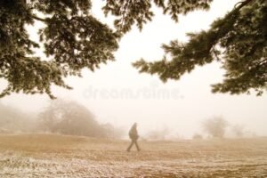 Quelles sont les principales idées dans Les Rêveries du Promeneur Solitaire de Rousseau 9 promeneur solitaire dans une nature reveuse
